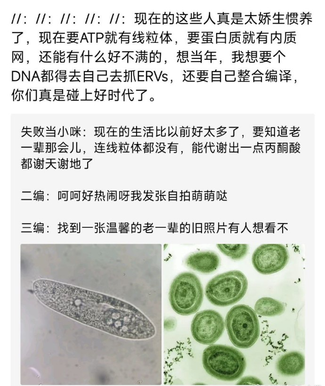 男子扶摔倒老人却被讹3万，花十几天找到监控终自证清白（组图） - 12
