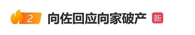 向佐回应向家破产：做得好不好都有人说，但说话的人请有点底线（组图） - 1
