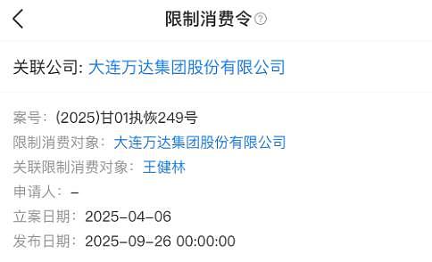 王健林限消背后的“数学题”：万达为什么越卖越穷？（组图） - 2