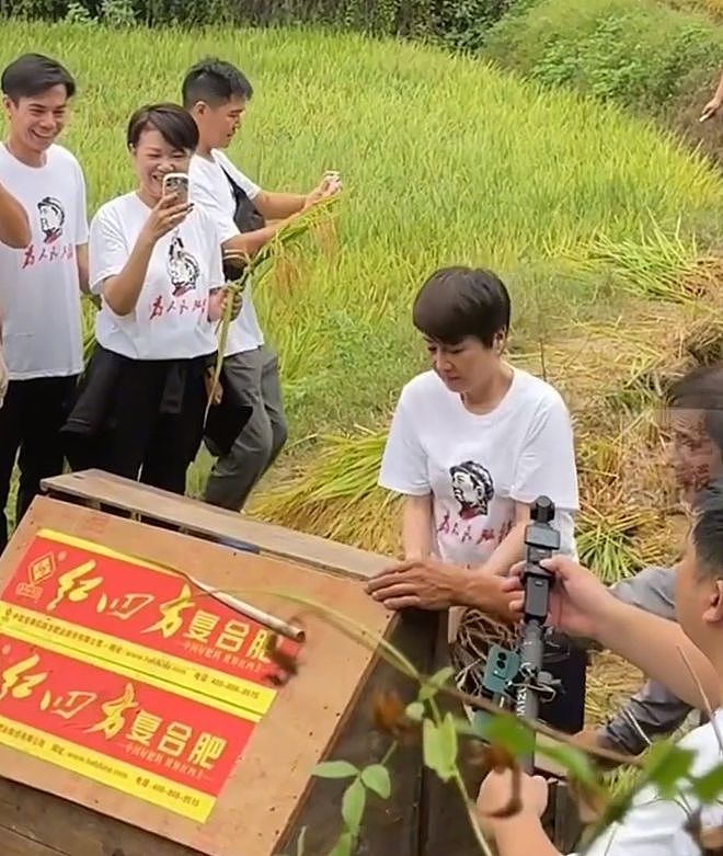 65岁梁安琪到湖南农村打稻谷,手法娴熟一学就会,衣服的印字亮了(组图) - 2