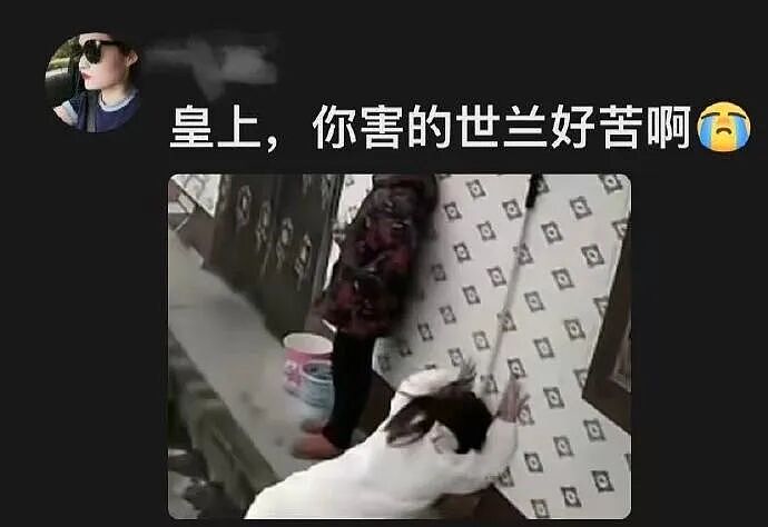 【爆笑】究竟是谁发明这么邪门的马桶？第一眼：有点心动！看到最后：这姿势真的很禁欲...（组图） - 7