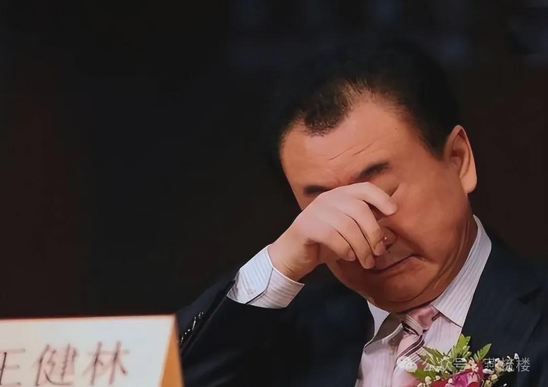 王健林“限高令”被闪电撤销，传递什么信号（组图） - 2