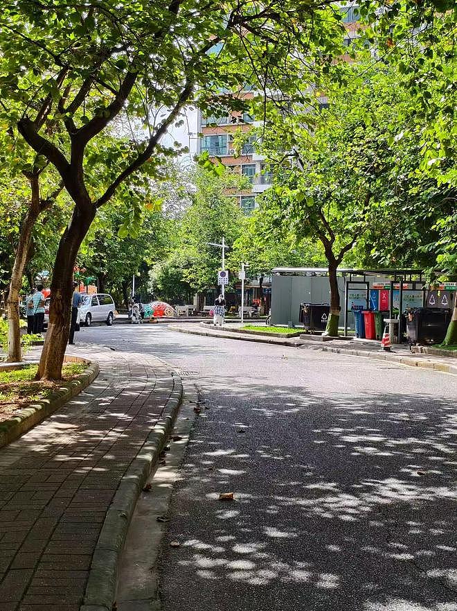 华南理工大学通报“校内发生车祸致1死1伤”：肇事者系学校教师，将全力配合查清事实（图） - 1