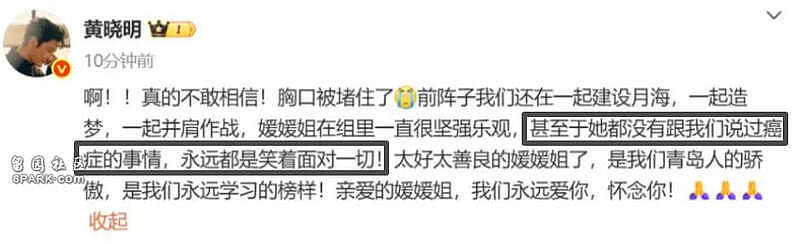朱媛媛离世4个月,辛柏青令人担忧的事还是发生了(组图) - 14