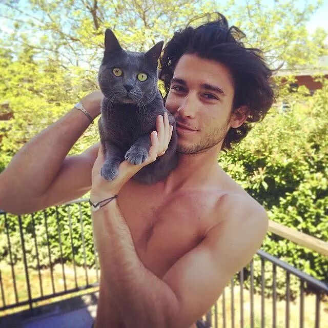 【宠物】网友养猫3年突然想到,猫不知道主人的名字,赶紧掏身份证给猫看,猫的反应好搞笑哈哈哈哈(组图) - 25