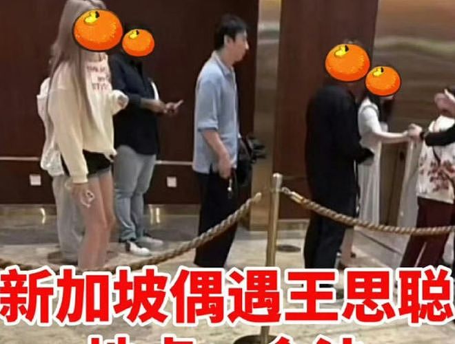 王思聪大骂网红EL包养一周20万，嘲讽其穿戴靠卖，对方道歉又删除（组图） - 15
