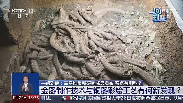 三星堆公布重大发现!专家:种种迹象表明,三星堆意爆发过内战,神权贵族集团受到严重打击(组图) - 10