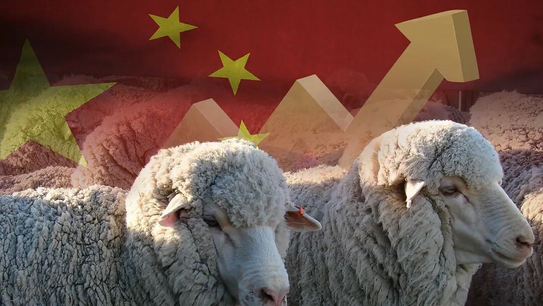 中国买爆这款澳洲货！导致价格连续10周大涨！创30多年纪录！（组图） - 2
