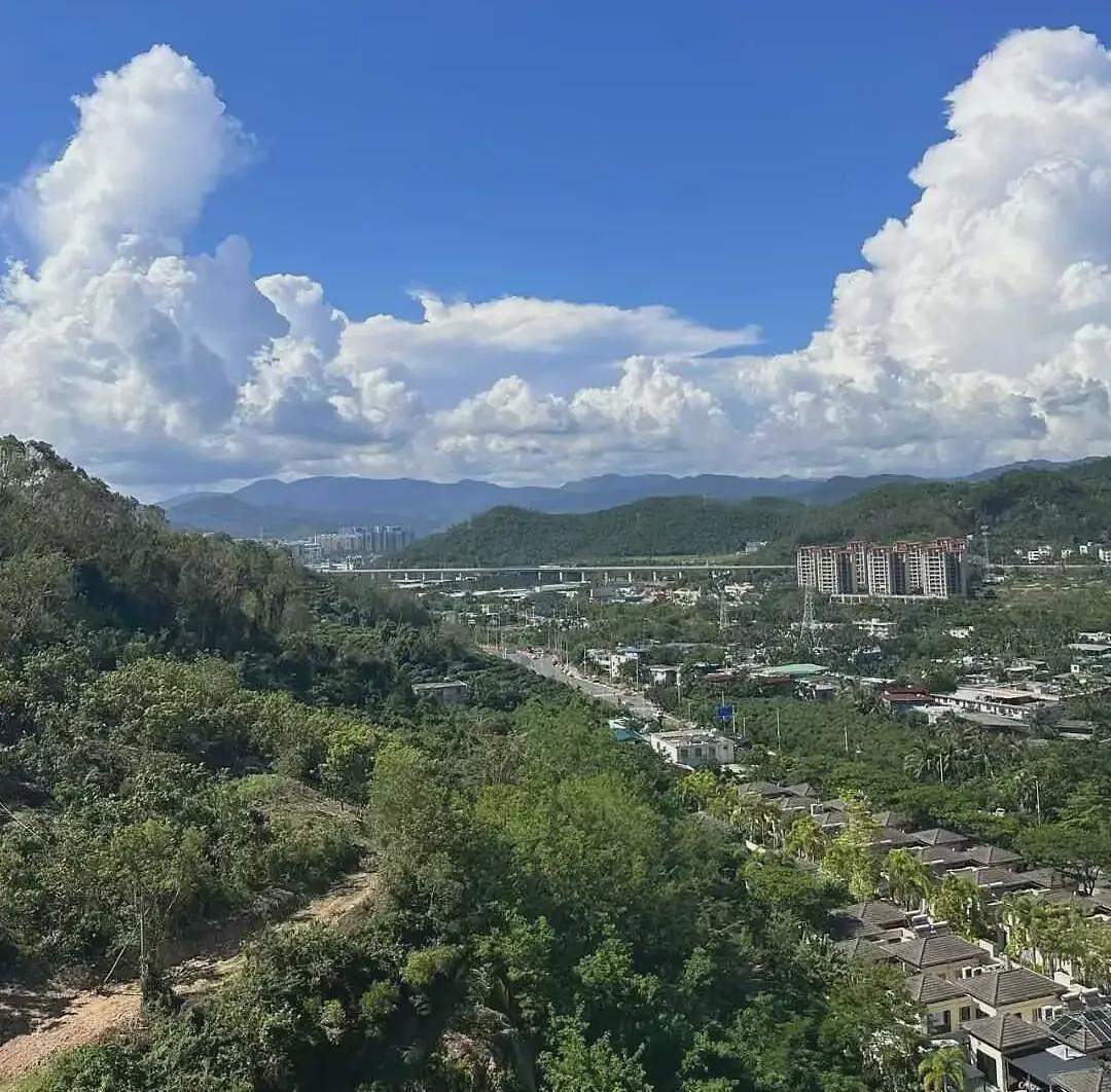 卷不动了！墨大商科学霸弃百万年薪回国当道士：在道观种地比投行PPT快乐（组图） - 2