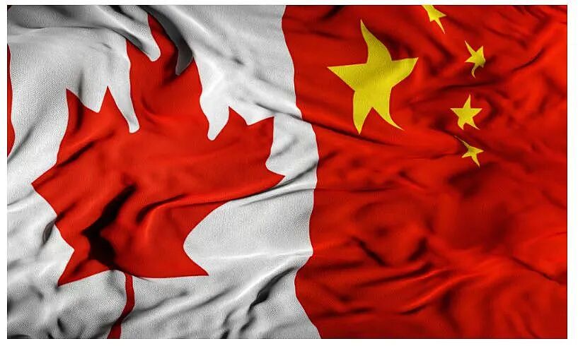 加拿大将取消对中国电动车关税！？联邦已启动非正式审查，前外交官急的上蹿下跳（组图） - 6