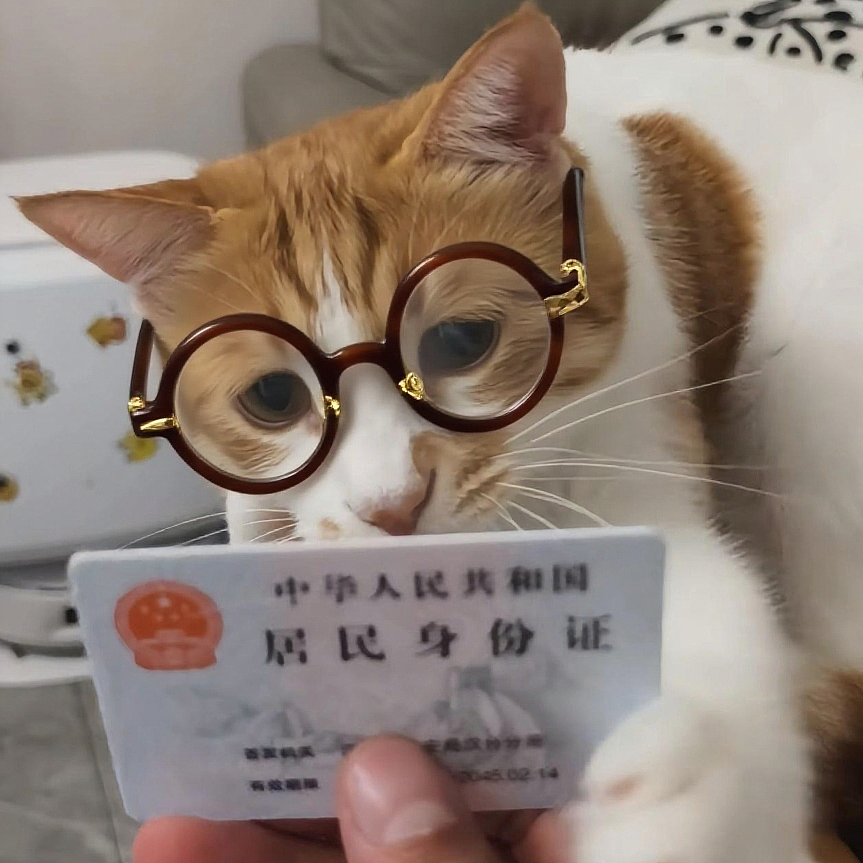 【宠物】网友养猫3年突然想到,猫不知道主人的名字,赶紧掏身份证给猫看,猫的反应好搞笑哈哈哈哈(组图) - 21