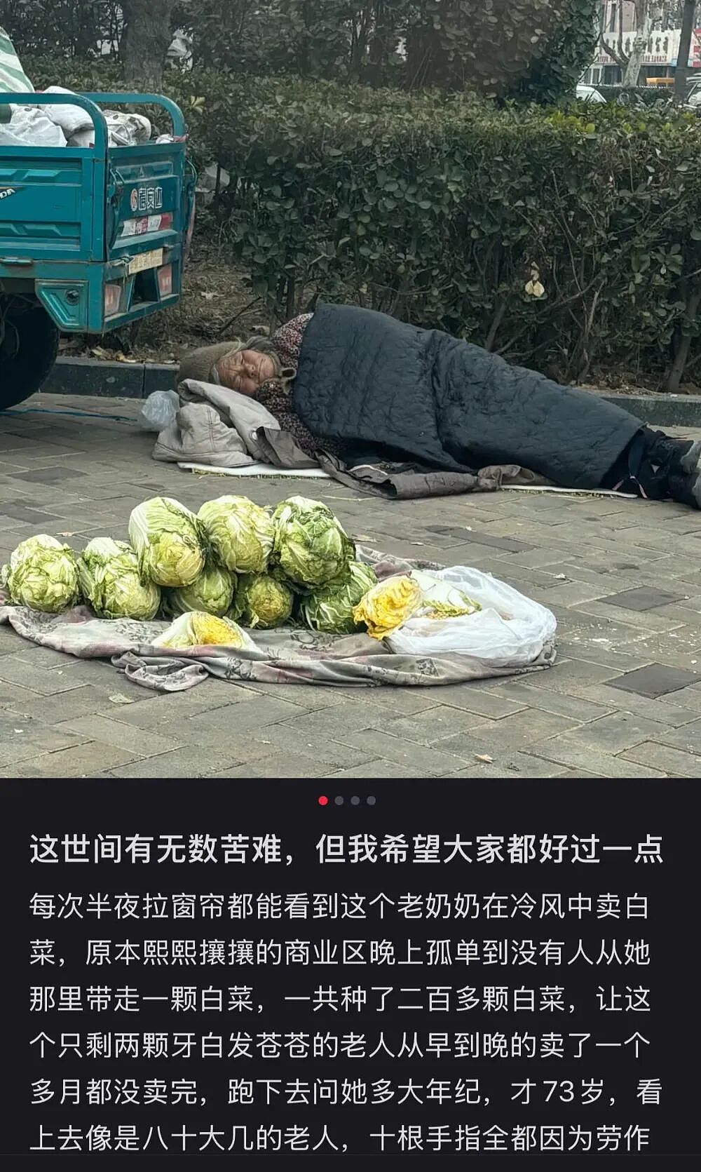 景德镇鸡排哥,经得起扒(组图) - 17