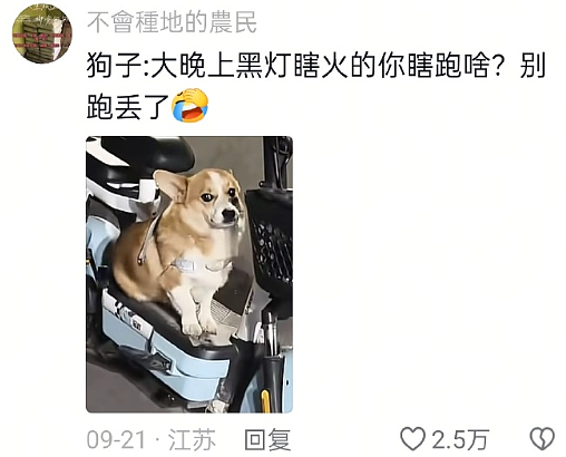【爆笑】生日男朋友买了个这样的蛋糕给我,该分手吗?网友破防:这谁受得了!(组图) - 11