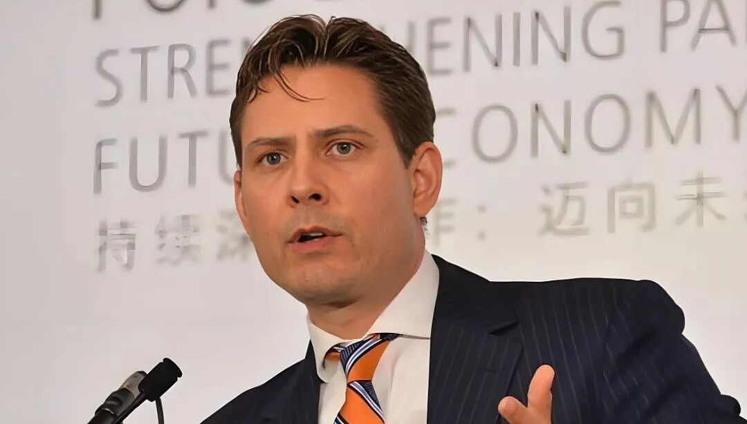 加拿大将取消对中国电动车关税！？联邦已启动非正式审查，前外交官急的上蹿下跳（组图） - 5