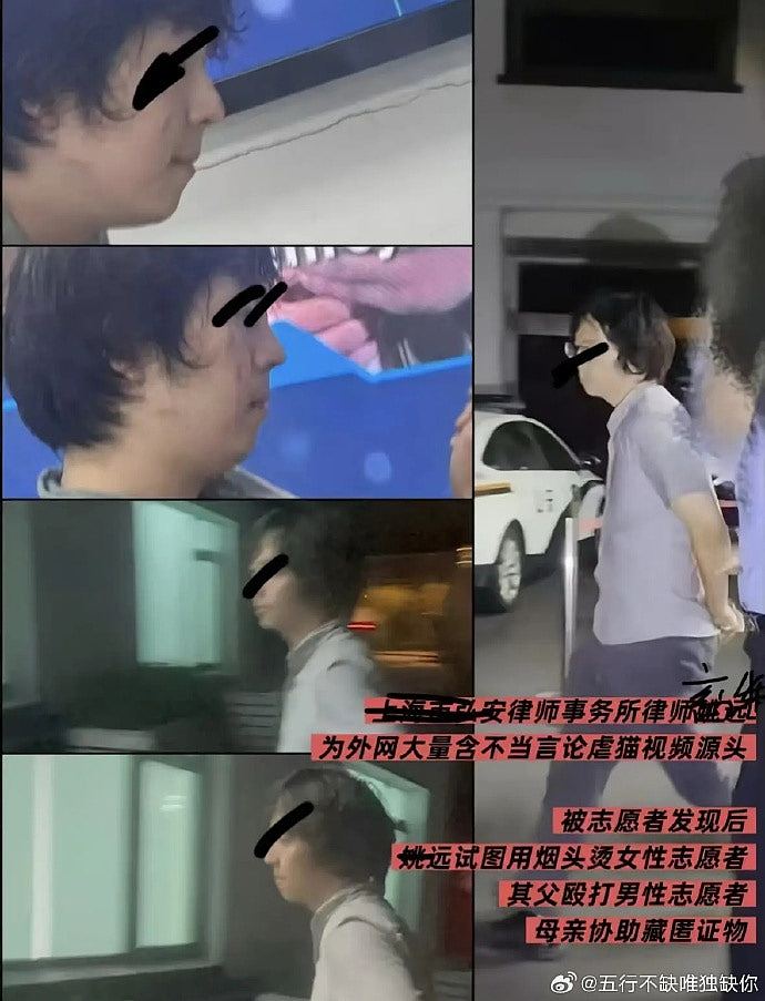 上海律师涉8年虐杀4千只猫拍片赚钱断正，律师楼谴责：已将他解雇（组图） - 3