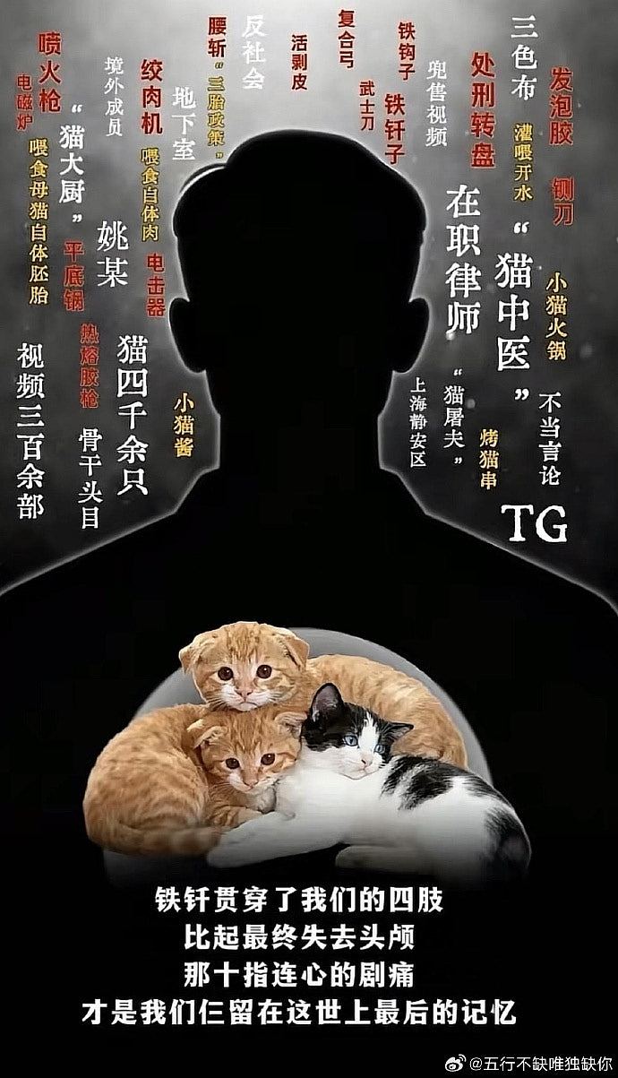 上海律师涉8年虐杀4千只猫拍片赚钱断正，律师楼谴责：已将他解雇（组图） - 7