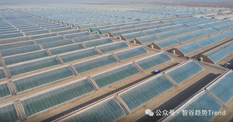 比40年前的深圳还疯狂,国家为何拼命押注新疆?(组图) - 3