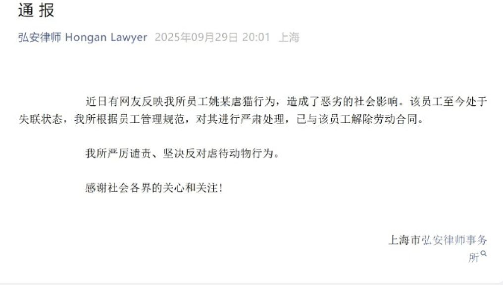 上海律师涉8年虐杀4千只猫拍片赚钱断正，律师楼谴责：已将他解雇（组图） - 8
