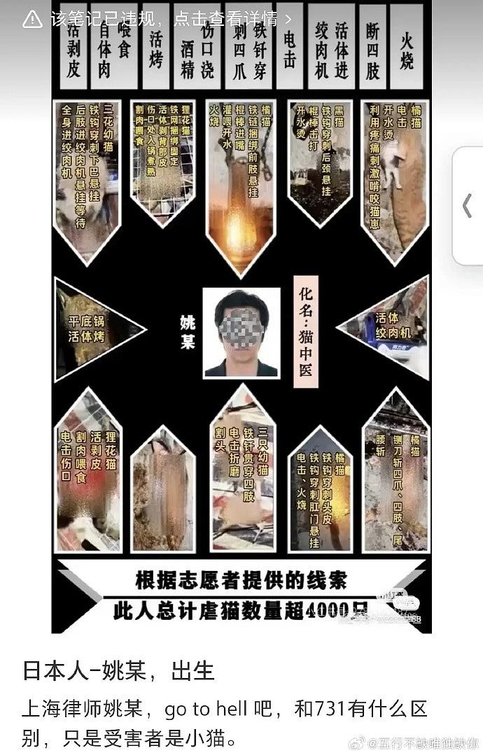 上海律师涉8年虐杀4千只猫拍片赚钱断正，律师楼谴责：已将他解雇（组图） - 2