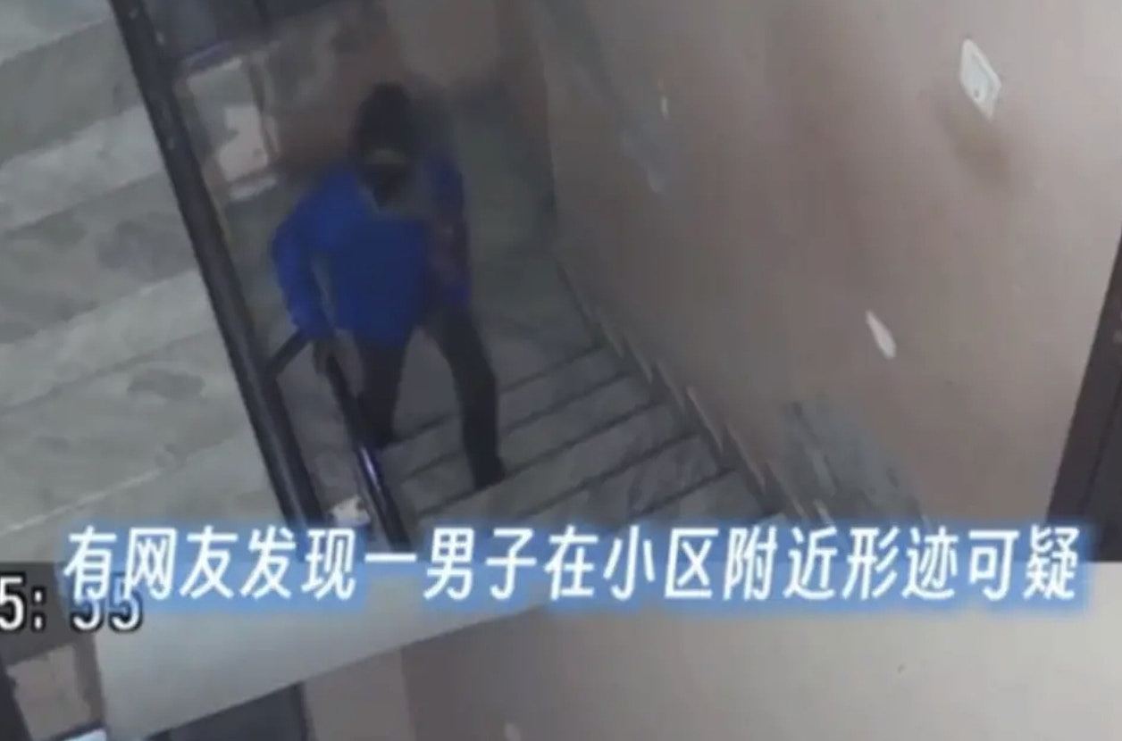 上海律师涉8年虐杀4千只猫拍片赚钱断正，律师楼谴责：已将他解雇（组图） - 1