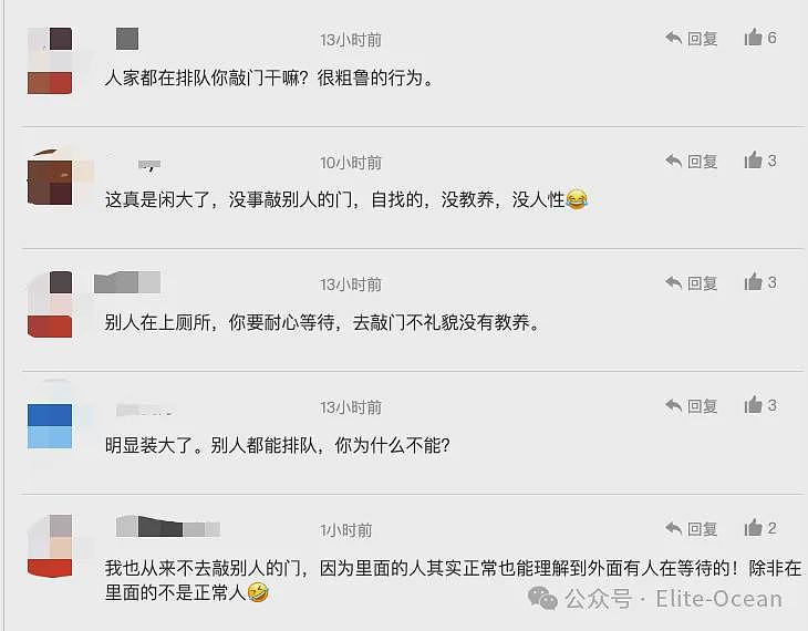 华人热议！中国女网红澳洲餐厅遭暴力殴打，满脸伤痕，全身淤青！网友：自找的，没素质（组图） - 13