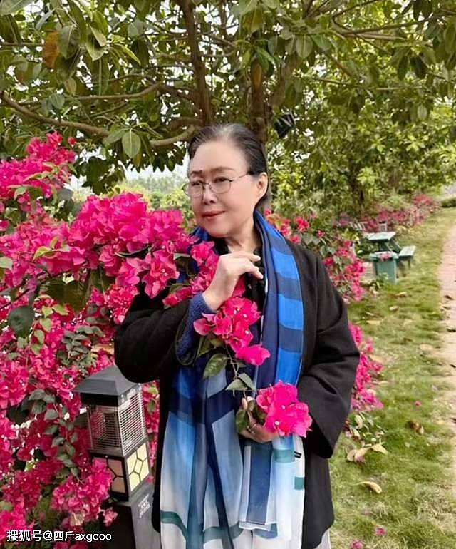 斯琴高娃坐轮椅现身机场，脸部松弛法令纹明显，身体状况让人担忧（组图） - 9
