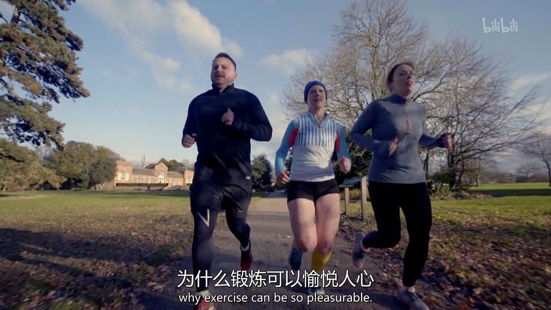 BBC扎心实验:每天跑步45分钟,竟不如每周在家锻炼2分钟?(组图) - 38