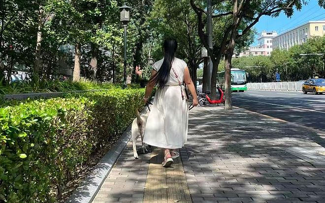 “带导盲犬夜爬泰山”当事人再发声：否认虐犬打犬，爬完泰山后狗狗体检健康（组图） - 4