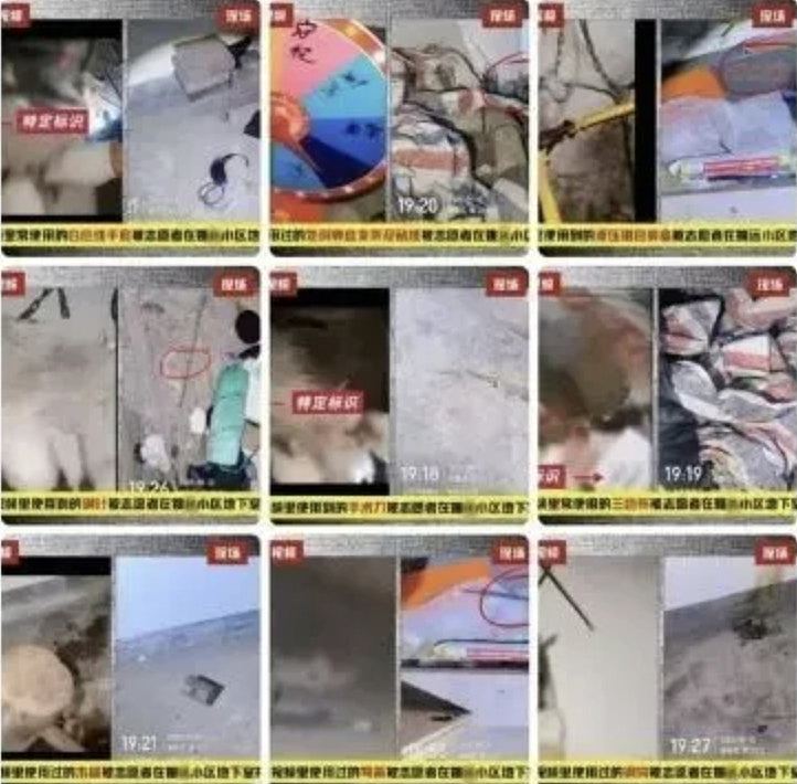 上海律师涉8年虐杀4千只猫拍片赚钱断正，律师楼谴责：已将他解雇（组图） - 4