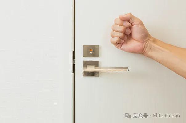 华人热议！中国女网红澳洲餐厅遭暴力殴打，满脸伤痕，全身淤青！网友：自找的，没素质（组图） - 10