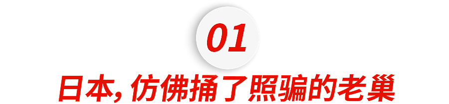 第一批抵达网红景点的游客，已被诈骗（组图） - 3