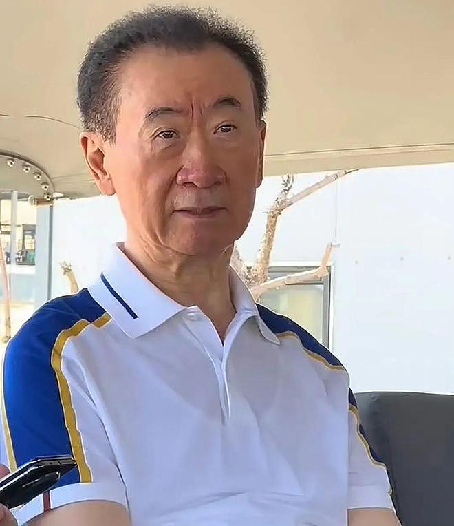 王健林被限制高消费，王思聪在新加坡当背包客，一个时代的远去！（组图） - 1