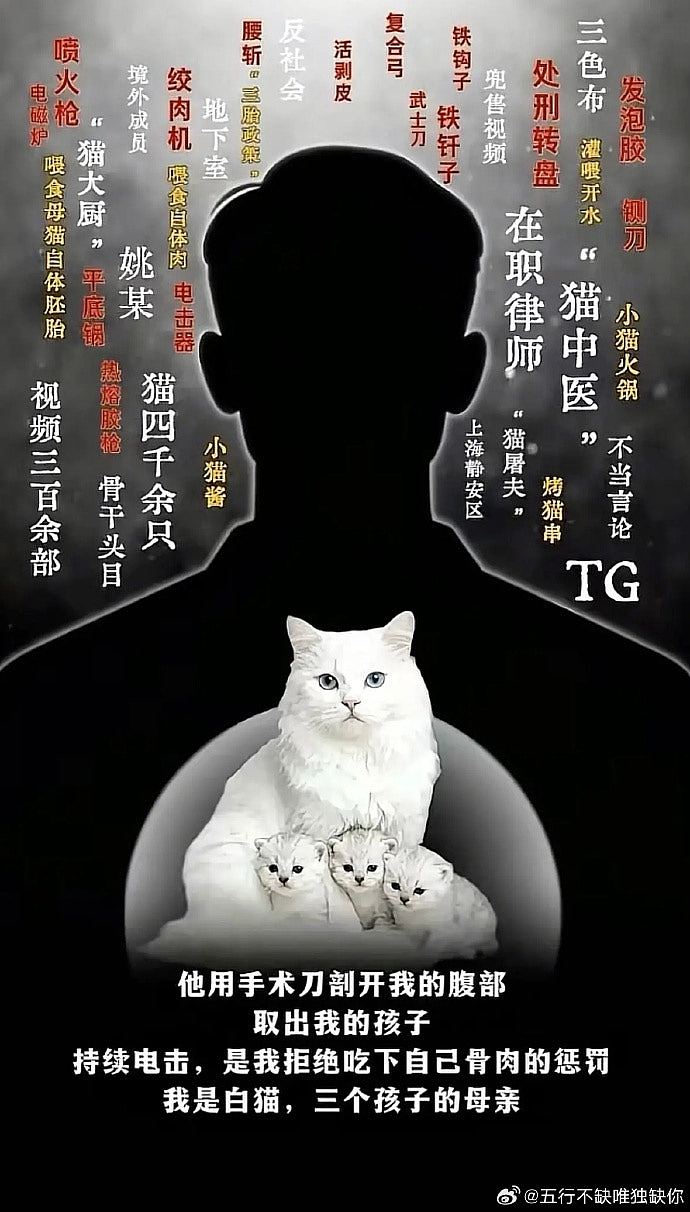上海律师涉8年虐杀4千只猫拍片赚钱断正，律师楼谴责：已将他解雇（组图） - 6