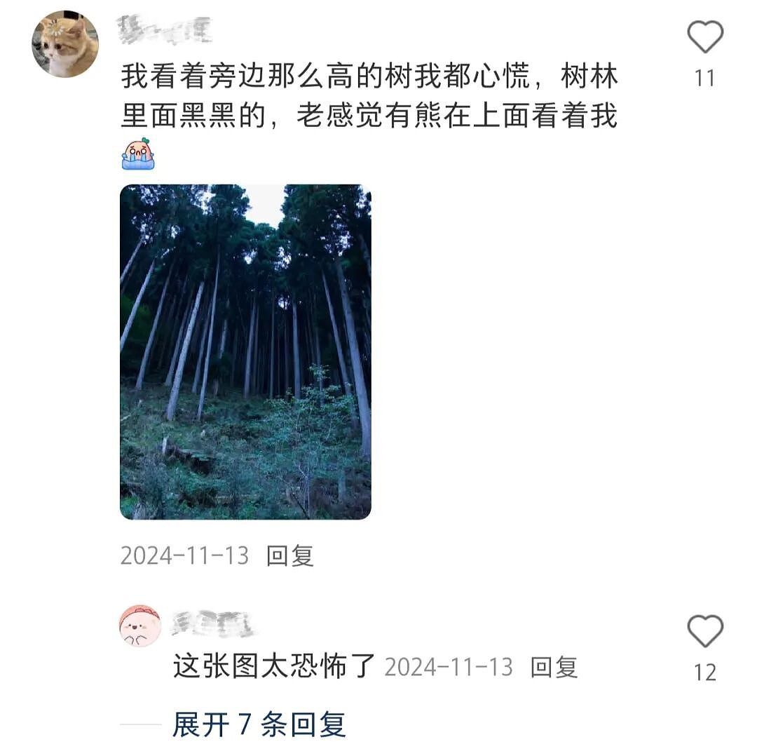 第一批抵达网红景点的游客，已被诈骗（组图） - 13