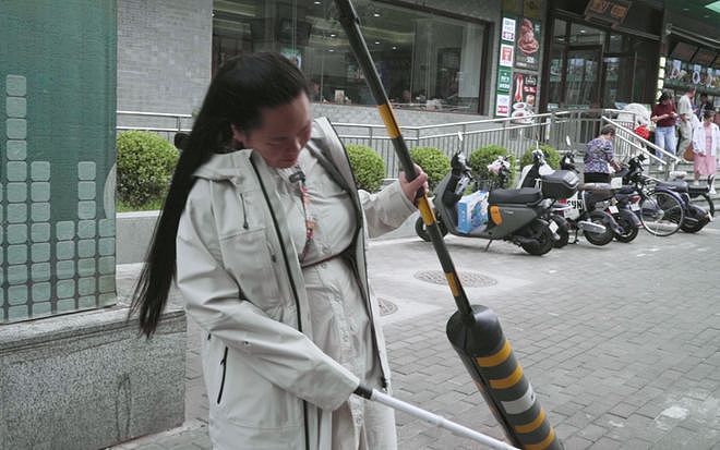 “带导盲犬夜爬泰山”当事人再发声：否认虐犬打犬，爬完泰山后狗狗体检健康（组图） - 2