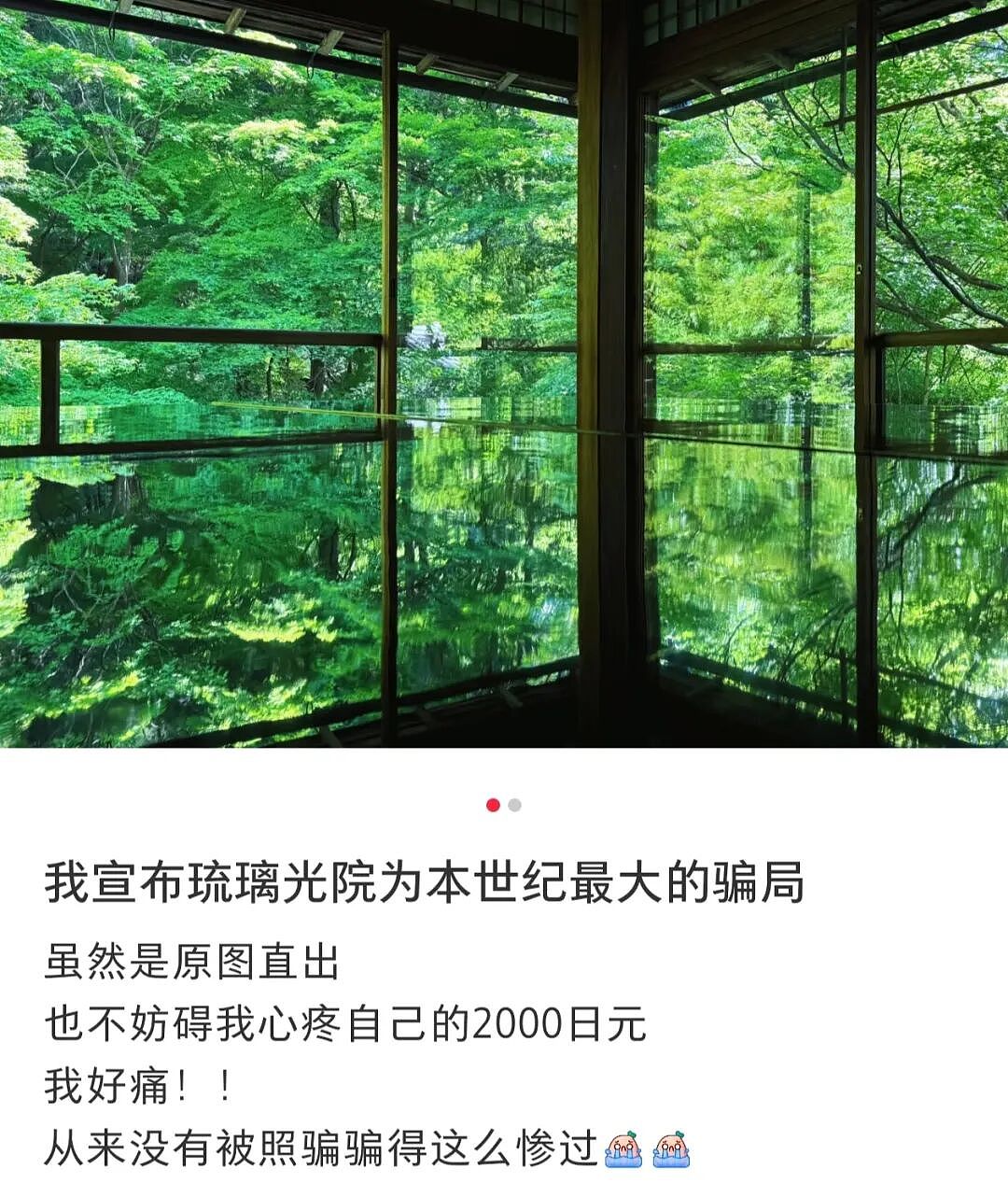 第一批抵达网红景点的游客，已被诈骗（组图） - 8
