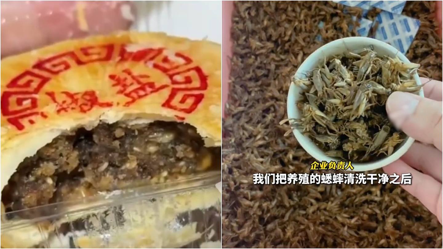 腐乳、老醋、蟋蟀作馅制月饼？奇葩口味引热议（组图） - 1