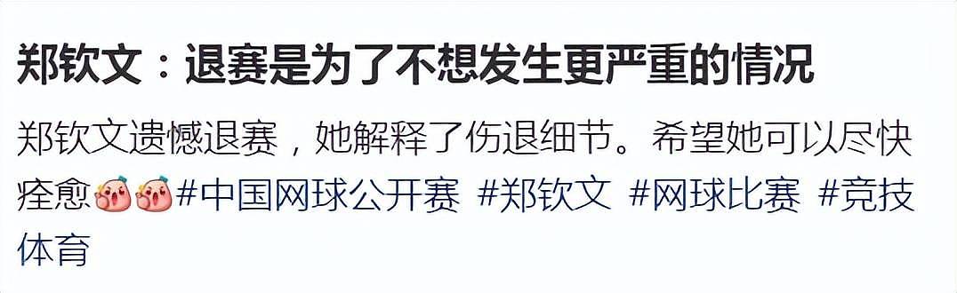 郑钦文中网退赛被骂!网友怎么可能知道她的苦衷(组图) - 12