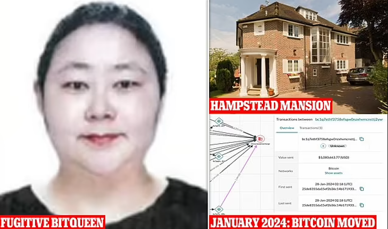 华人女子卷走400亿，年龄改小12岁，持假护照逃往国外，刚刚认罪（组图） - 4