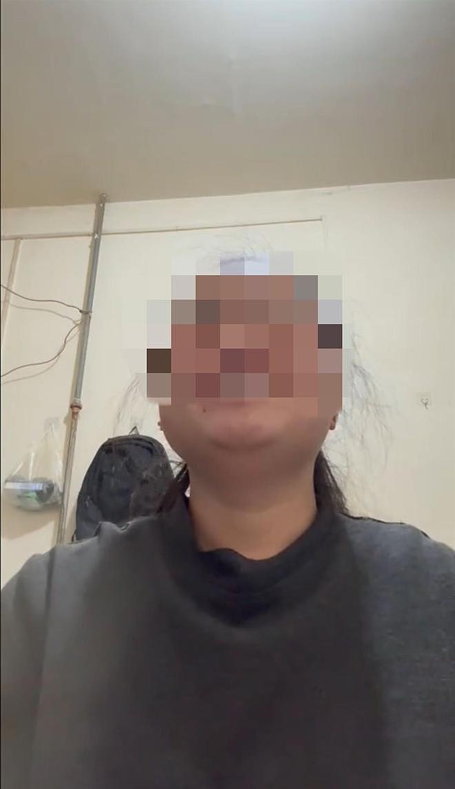 “带导盲犬夜爬泰山”当事人再发声：否认虐犬打犬，爬完泰山后狗狗体检健康（组图） - 1