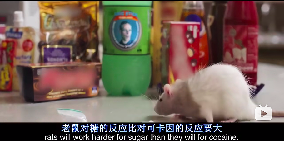 澳洲小伙坚持60天吃糖身体变化令人震惊!研究显示:面包、燕麦、酸奶...长期吃这类食物让人变胖还变傻!(组图) - 20