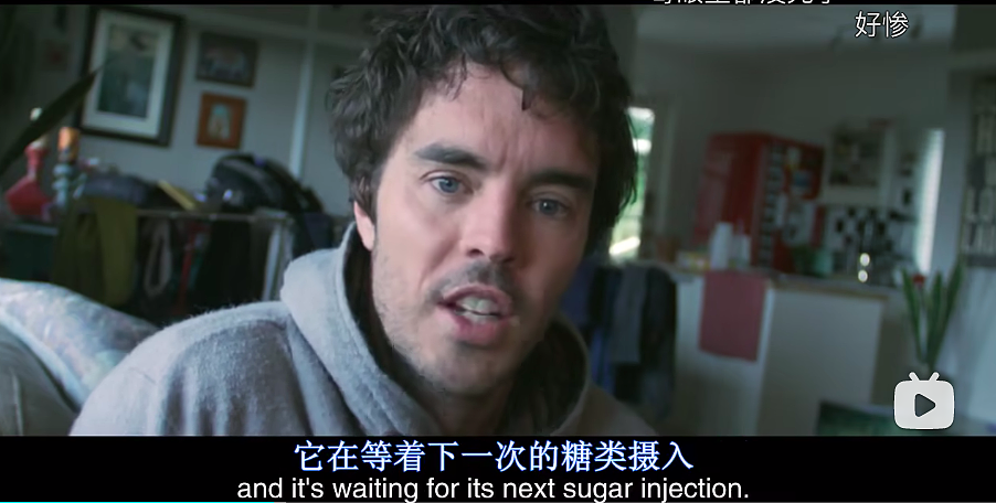 澳洲小伙坚持60天吃糖身体变化令人震惊!研究显示:面包、燕麦、酸奶...长期吃这类食物让人变胖还变傻!(组图) - 22