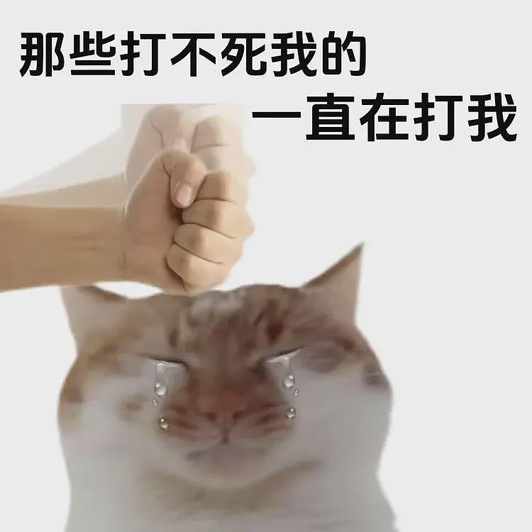广告打遍全网，转转为何还是打不过闲鱼？（组图） - 5