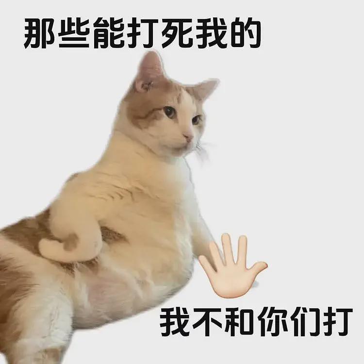 广告打遍全网，转转为何还是打不过闲鱼？（组图） - 8