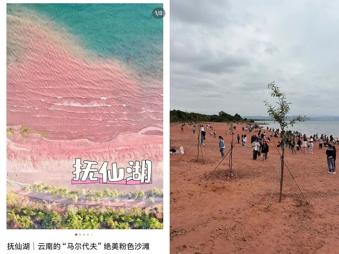 第一批抵达网红景点的游客，已被诈骗（组图） - 2