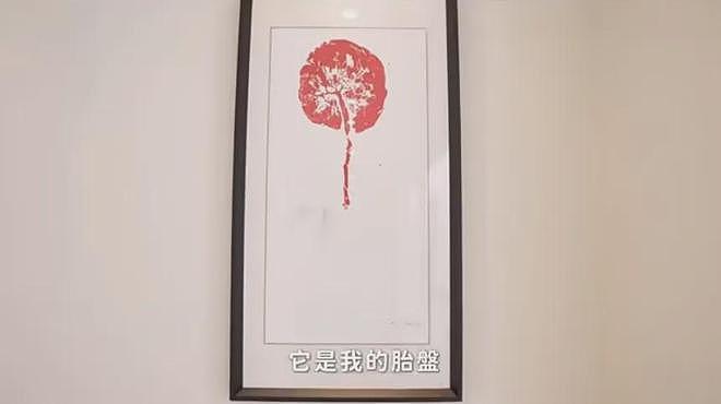 谢依霖晒日式装修翻车！家中装和室惹反感，网友劝其别来内地赚钱（组图） - 5