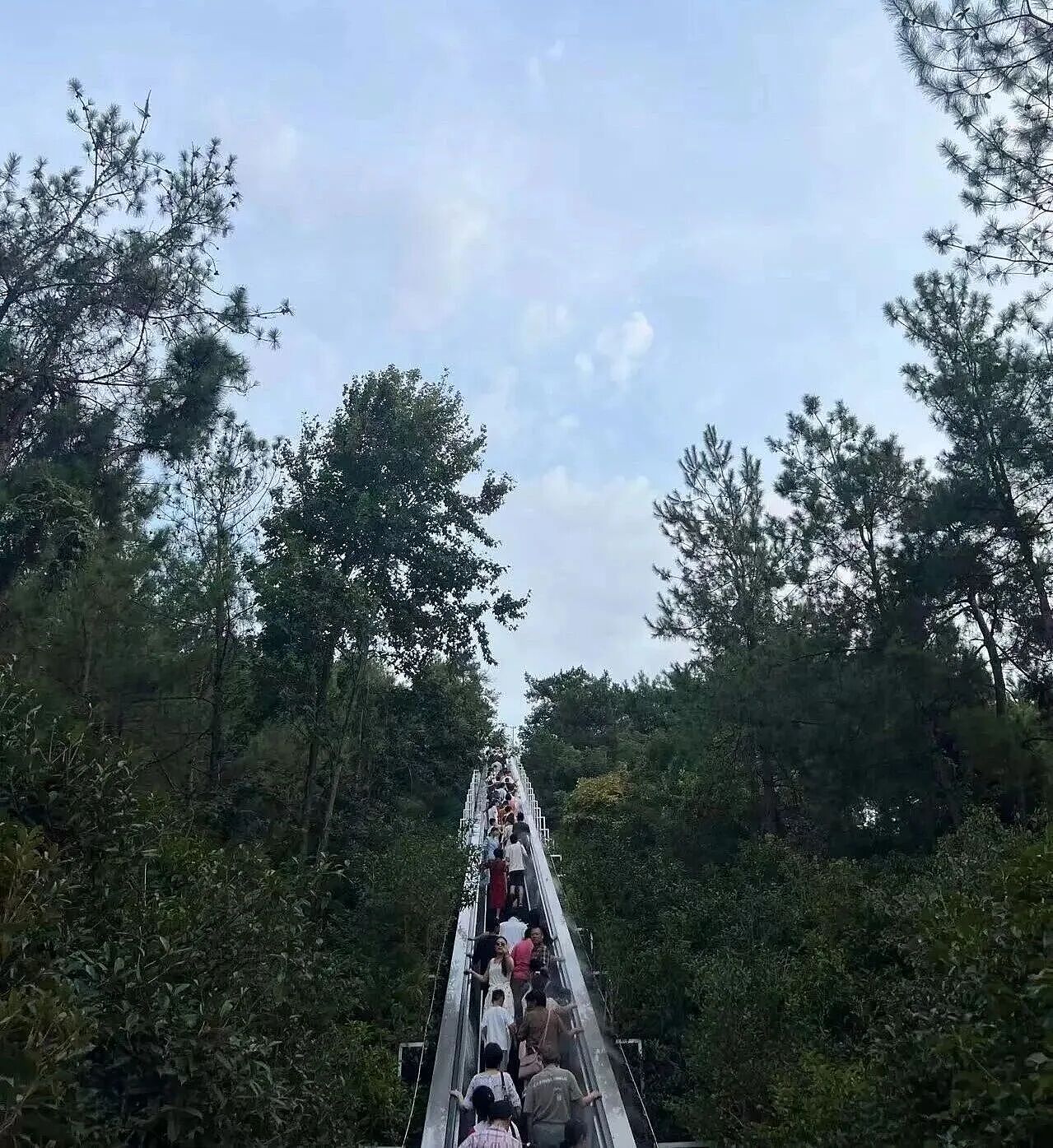 为什么“窝囊游”越来越流行？（组图） - 4