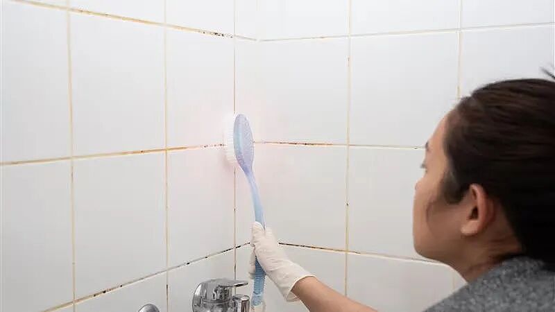 澳洲专家揭秘:你家浴室墙缝里的东西,原来是这个...(组图) - 2