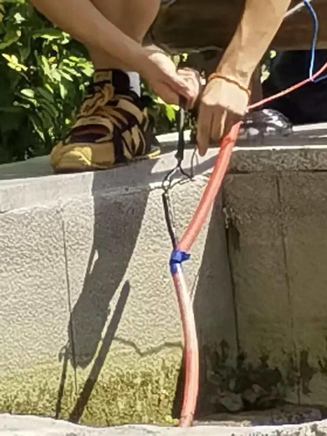 痛心！男孩小区内突然身亡，“儿子最后叫了一声妈妈...”！这个地方暗藏杀机，户外常见（组图） - 2