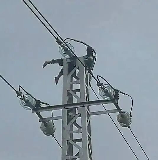 痛心！男孩小区内突然身亡，“儿子最后叫了一声妈妈...”！这个地方暗藏杀机，户外常见（组图） - 8